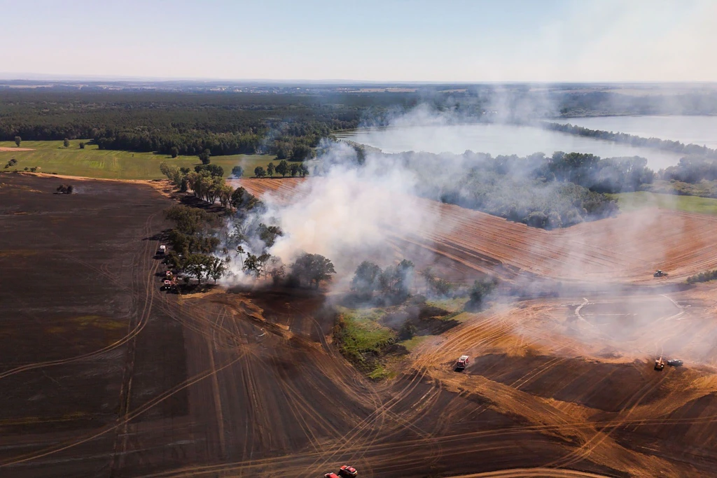 Mehr als 40 Hektar Feldfläche zerstört: Bei Dobra hielt ein Großbrand Feuerwehr und Landwirte in Schach. Was bleibt, ist eine schwarze Fläche.