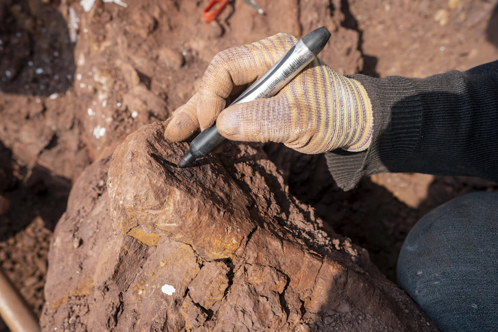 Ein Arbeiter an einer Fundstelle für Fossilien in China (Symbolbild)