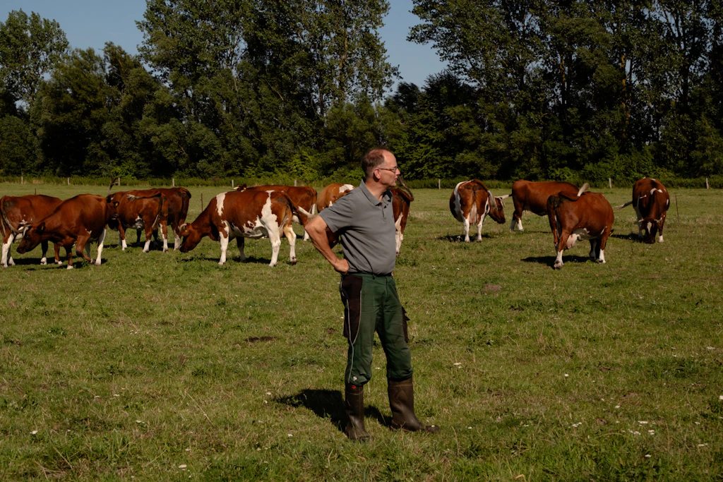 Reinhard Jung hält Mutterkühe: Für ihn ist Landwirtsein mehr als nur ein Beruf.