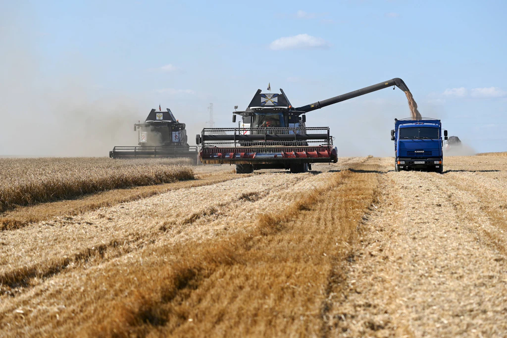 Auf einem Feld des russischen Agrarkonzerns Demetra wird Weizen geerntet.