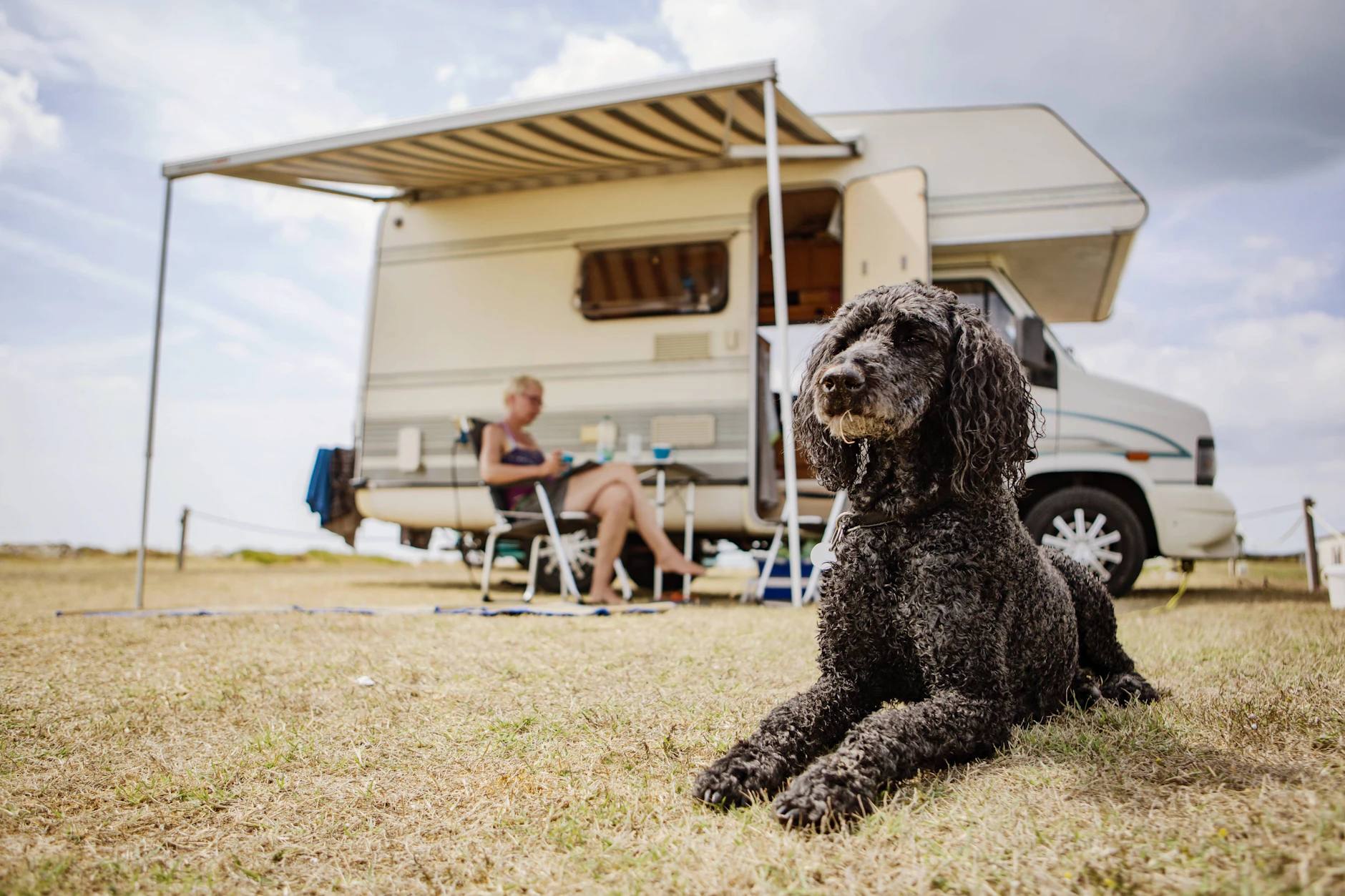 Warten gehört dazu: Während die Halterin Pause macht, liegt der Hund vor dem Wohnmobil – in Potsdam übernimmt auf Wunsch ein Ausführdienst.