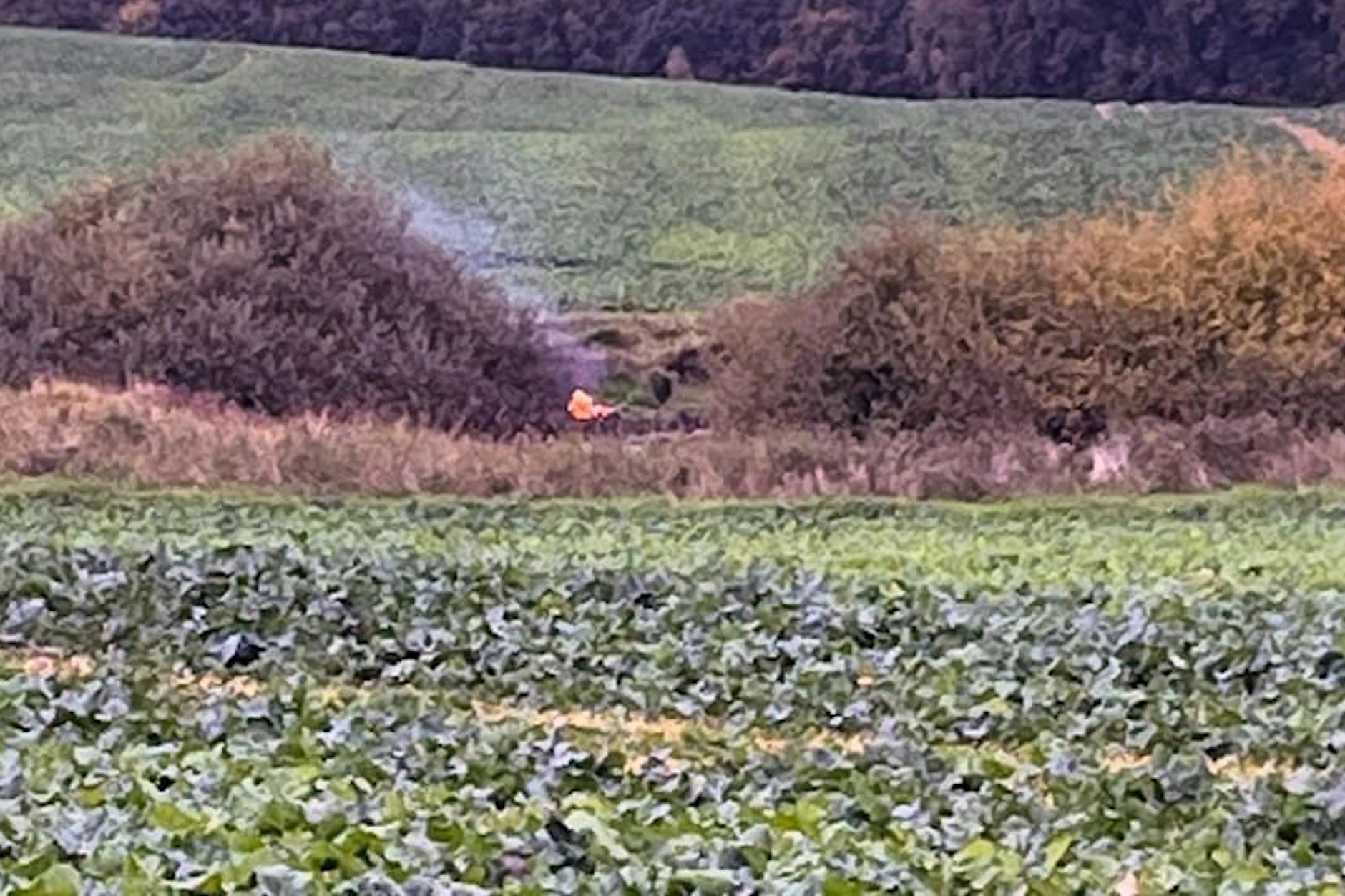Am Nachmittag des 10. Oktober fotografiert eine Zeugin dieses kleine Feuer an einem Tümpel bei Klein Upahl. Hier wird die Leiche von Fabian verbrannt.