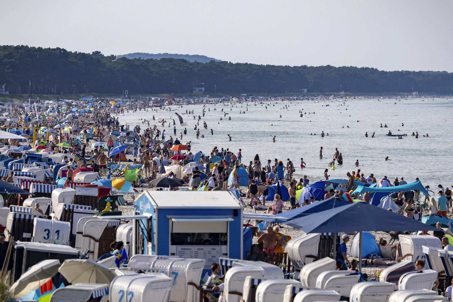 Ferienhäuser an der Ostsee sind deutlich beliebter als an der Nordsee.
