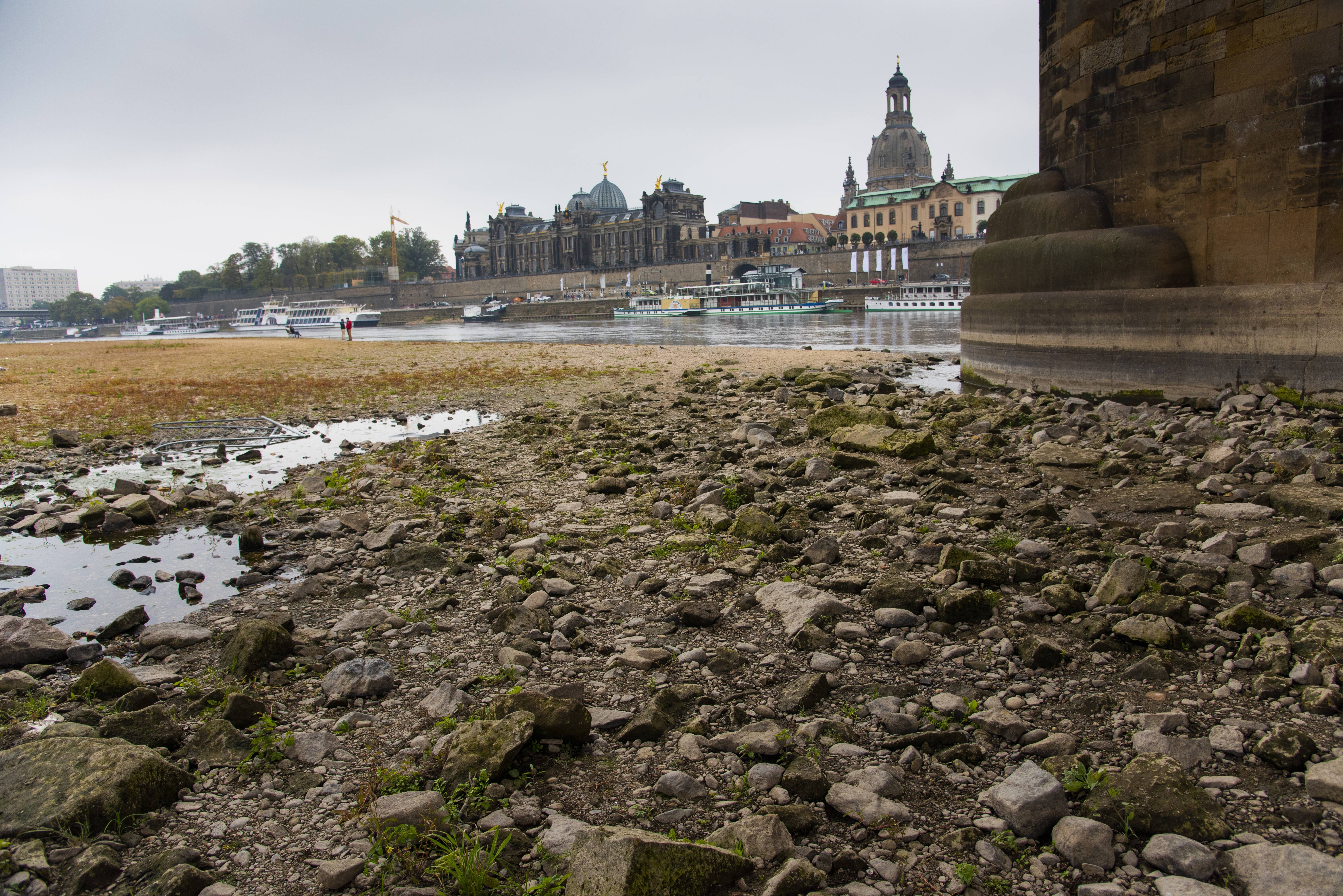 Hungersteine der Elbe in Sachsen: Wo die alten Dürrewarnungen von Pillnitz bis Oberposta liegen