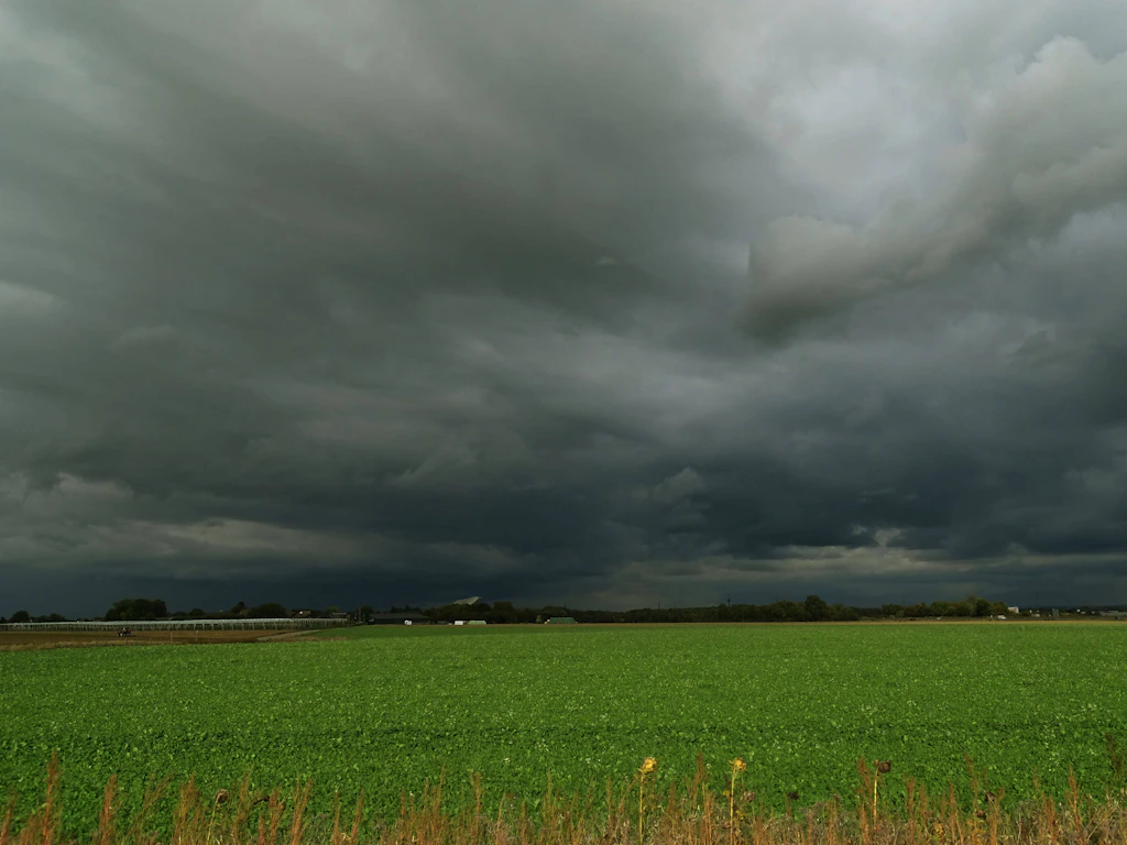 Orkanböen bis 120 km/h: Thüringen und Sachsen im Zentrum der Unwetter