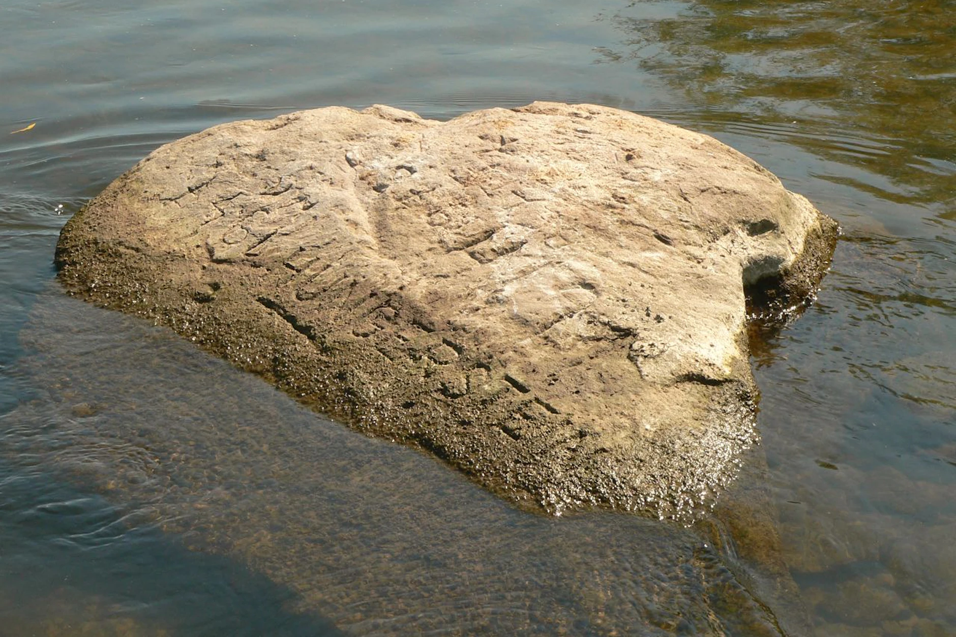 Manche Hungersteine sind unscheinbar und offenbaren ihre Inschriften nur bei genauem Hinsehen. Hier einer der Steine in der Weser.