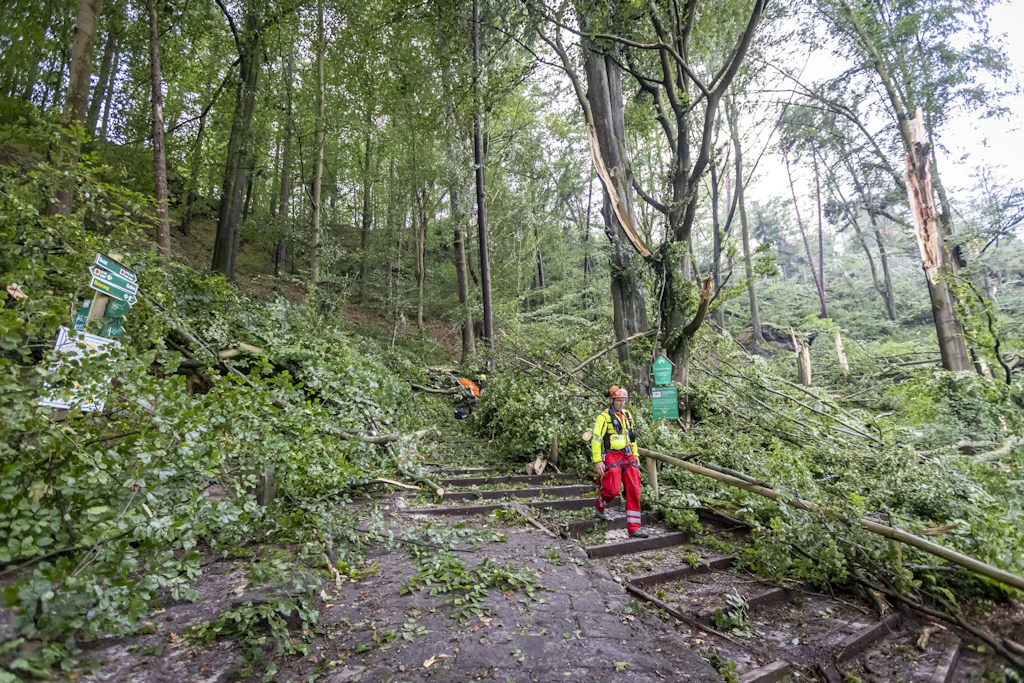 Der Sturm schlug eine regelrechte Schneise in den Wald.