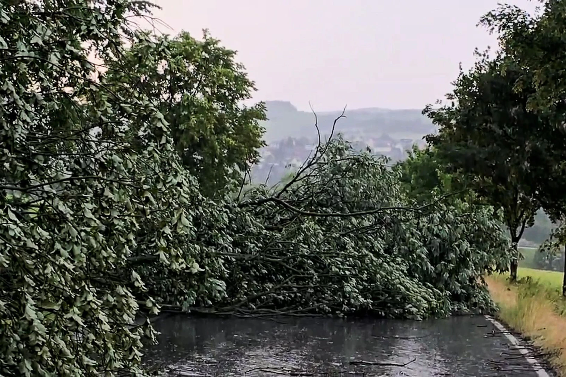 Umgestürzte Bäume liegen nach einem Unwetter auf einer Straße im Erzgebirgskreis. Am Wochenende kam es bereits in Sachsen zu schweren Unwettern.