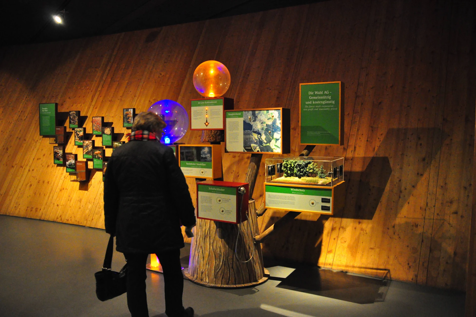 Das Müritzeum bietet nicht nur Fische, sondern auch interaktive Ausstellungen.