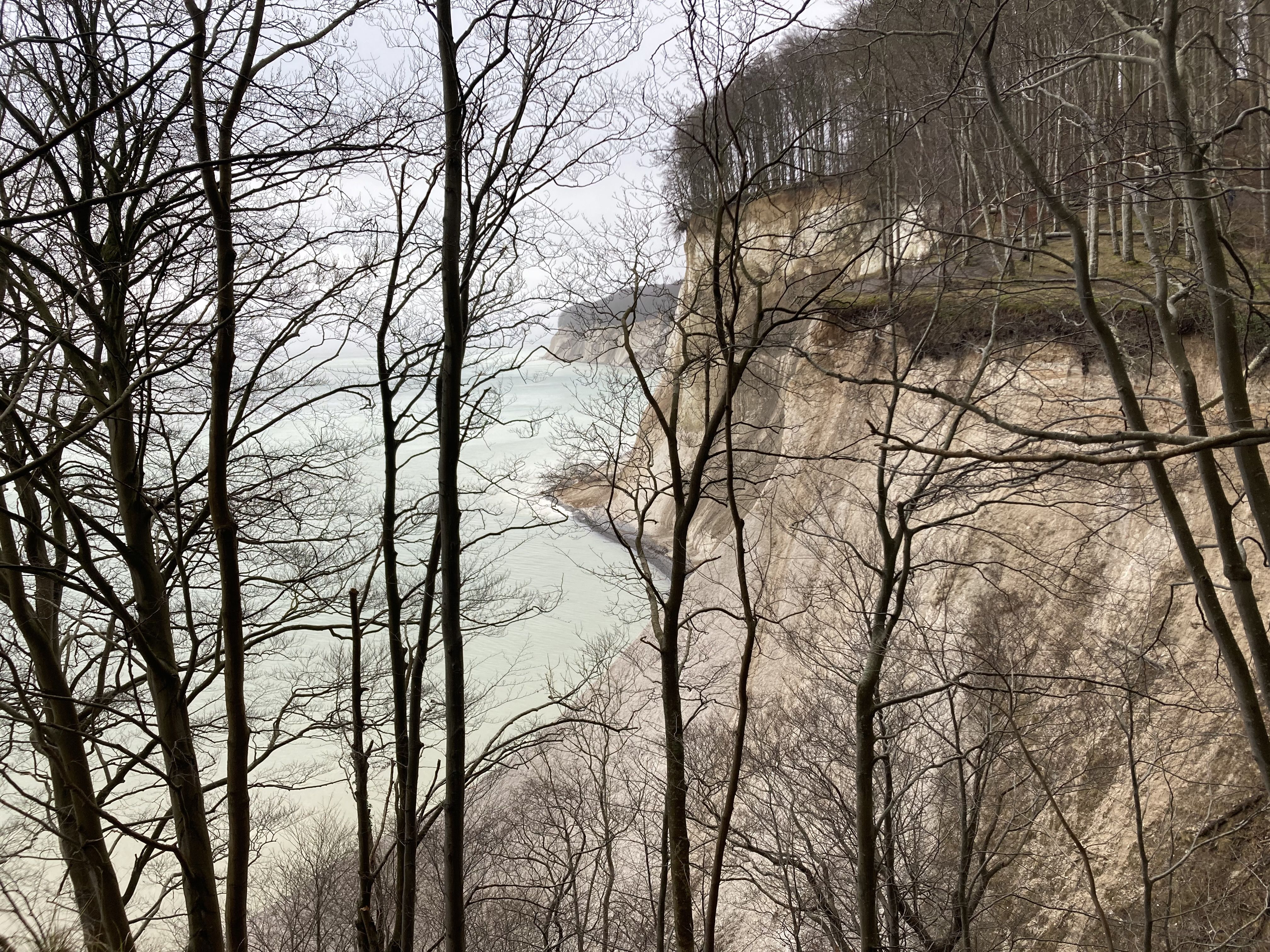 Hangabrutsch an den Kreidefelsen auf Rügen: 4.500 Kubikmeter Erde stürzen ab