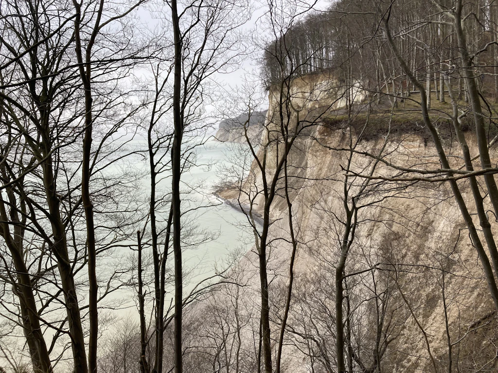 Hangabrutsch an den Kreidefelsen auf Rügen: 4.500 Kubikmeter Erde stürzen ab