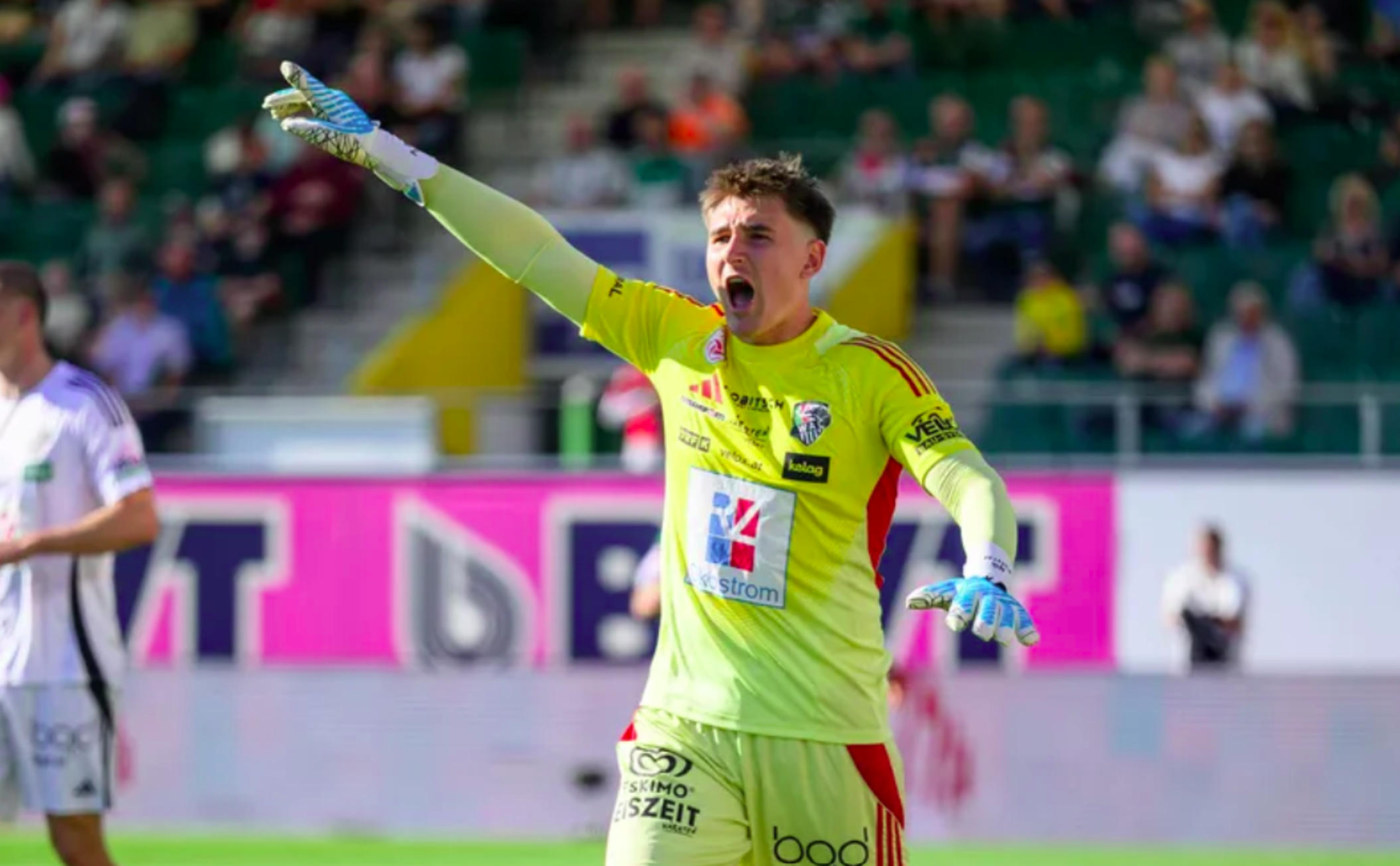 Hertha-Poker um Ösi-Torwart Polster: Es geht um 500.000 Euro