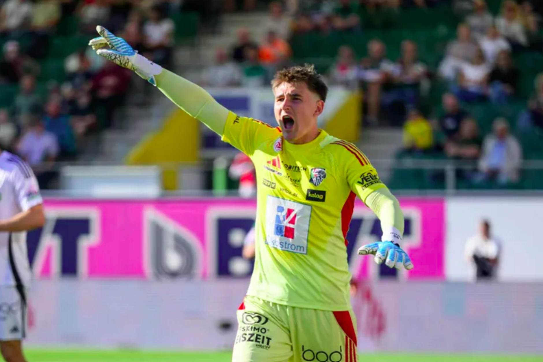 Hertha BSC hat Torwart Nikolas Polster vom Wolfsberger AC im Visier.