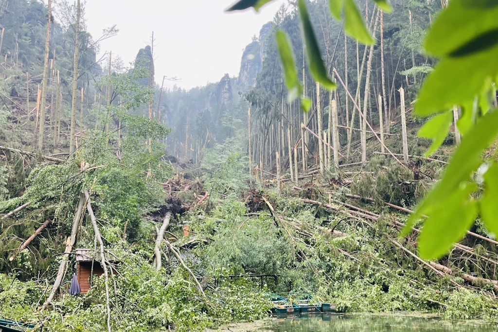 Der Sturm schlug eine 2 km Schneise in den Wald. Die Bäume begruben den Imbiss am Amselsee (Mitte) unter sich