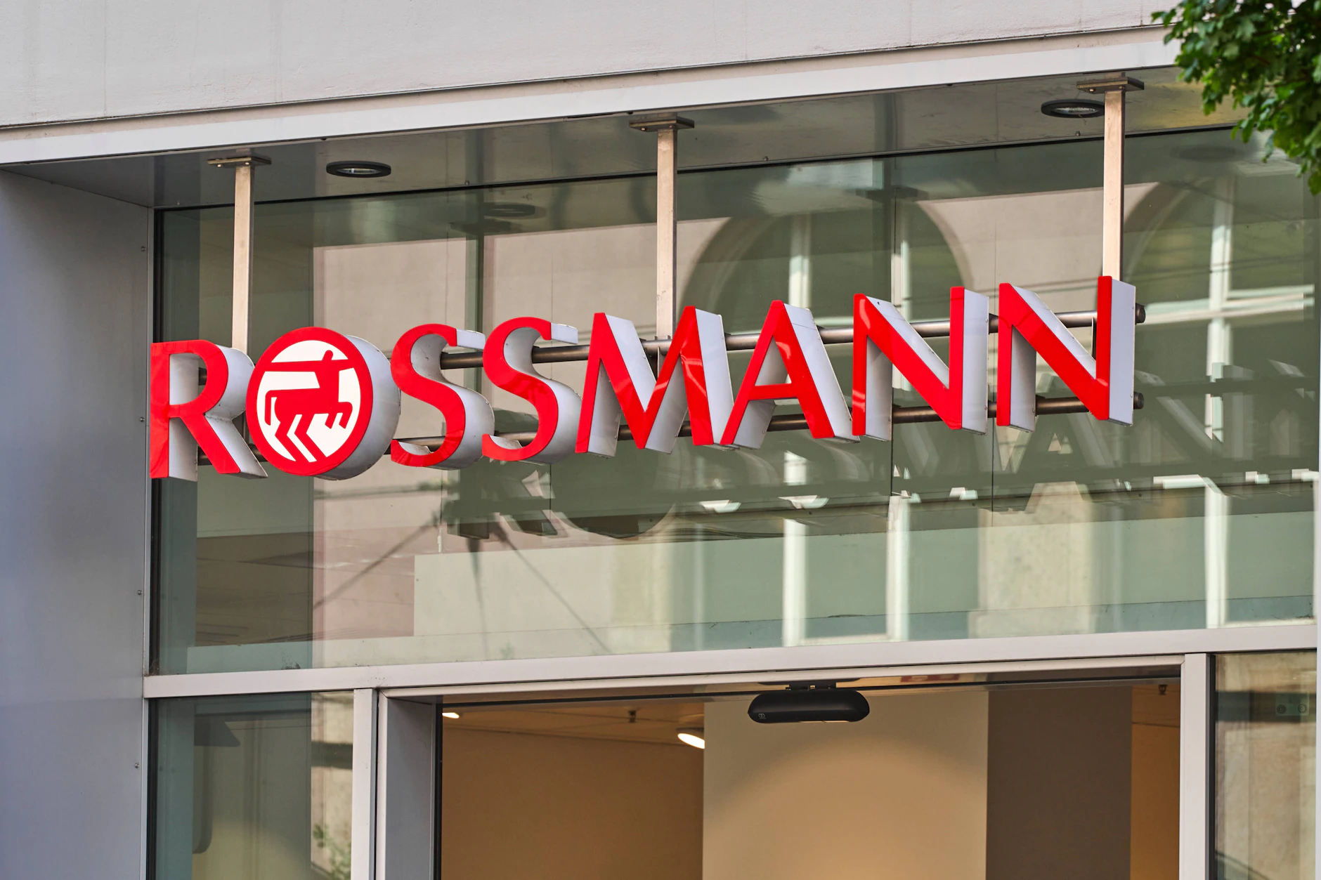Rückruf bei Rossmann: Salmonellen, Schimmelpilze – diese drei Lebensmittel sind gefährlich