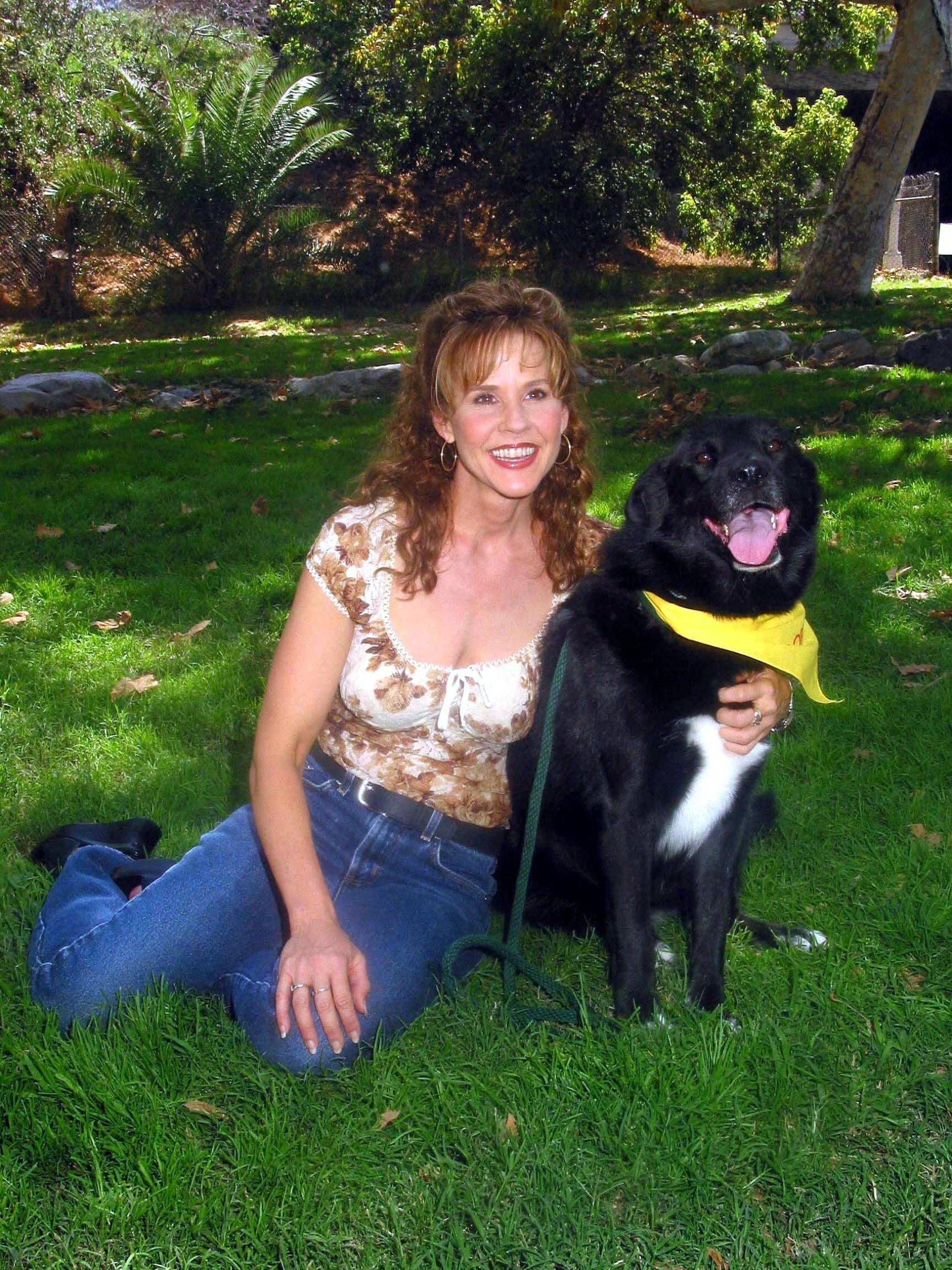 Gut 40 Grad Hitze und 110 Hunde: Behörden durchsuchen Anwesen von „Exorzist“-Star Linda Blair