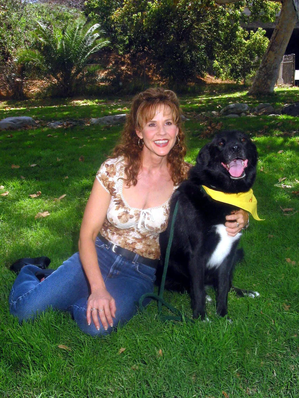 Gut 40 Grad Hitze und 110 Hunde: Behörden durchsuchen Anwesen von „Exorzist“-Star Linda Blair