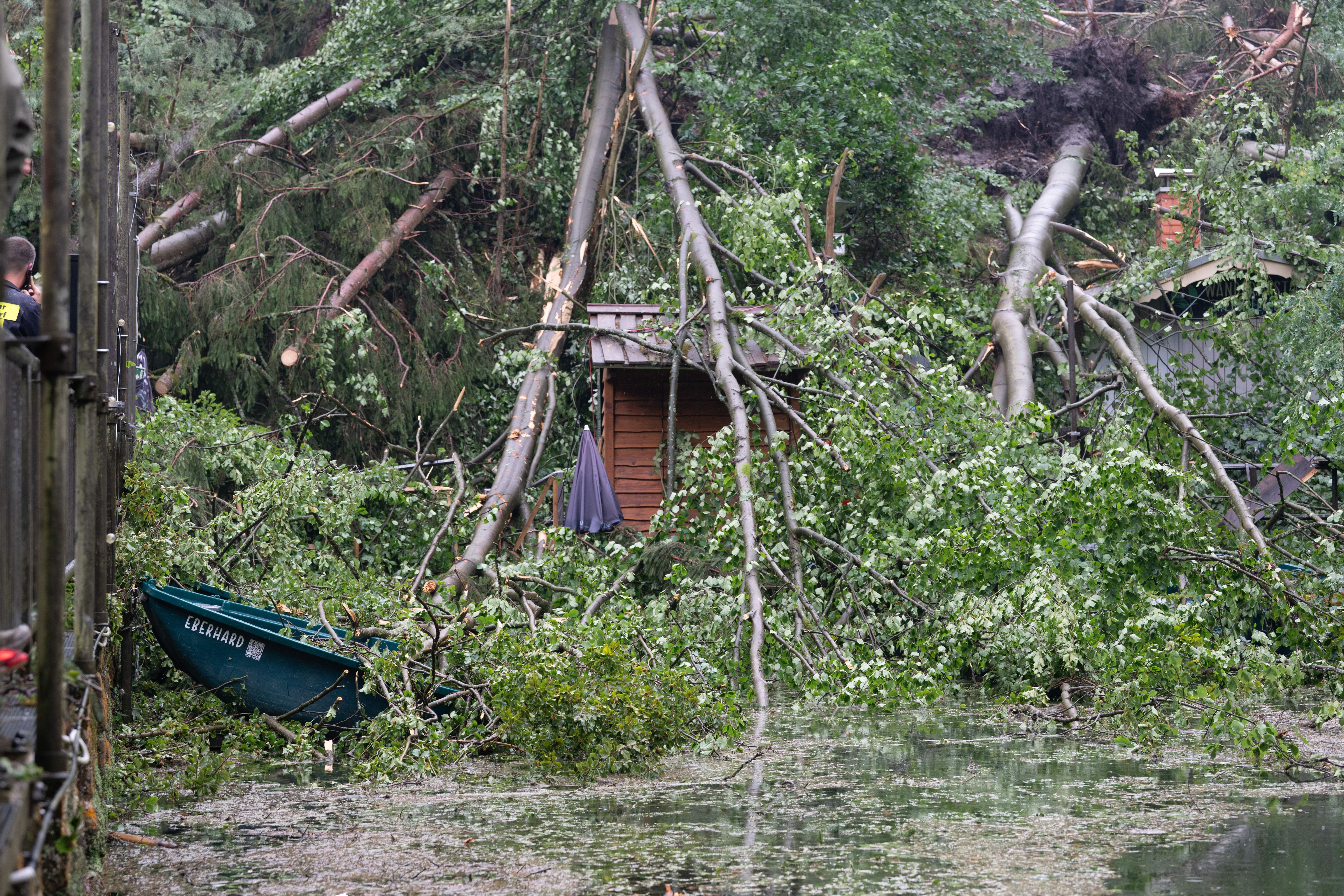 Horror-Unwetter in der Sächsischen Schweiz: Plötzlich rannten die Leute los