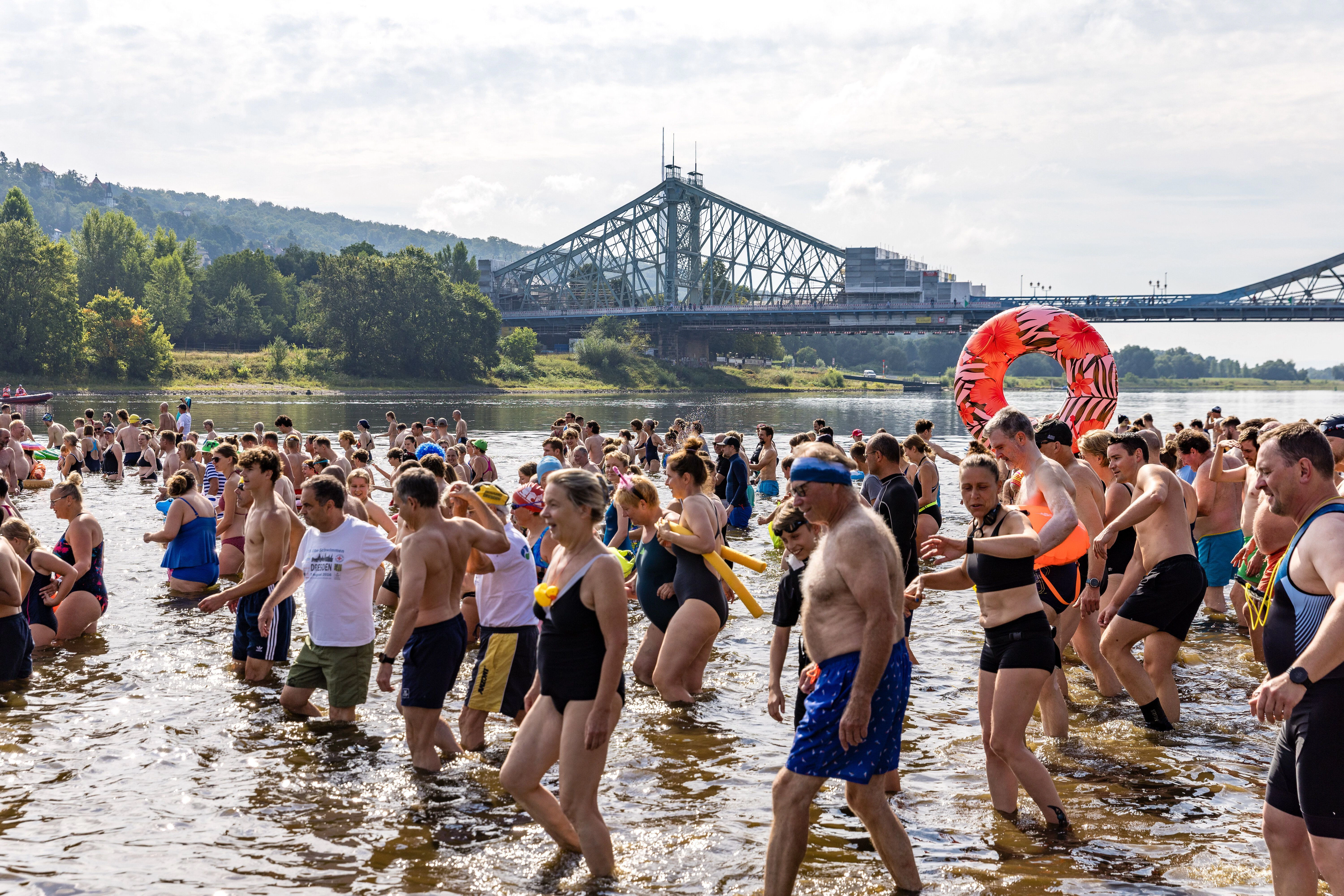 Dresdner Elbeschwimmen verzeichnet Teilnehmerrekord