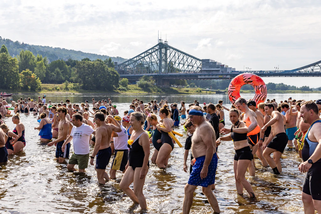 Dresdner Elbeschwimmen verzeichnet Teilnehmerrekord