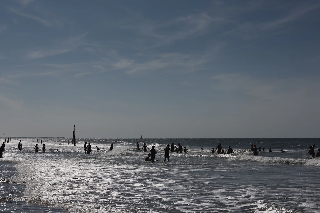 Badegästen könnten jetzt immer mehr Tintenfische im Wasser begegnen.