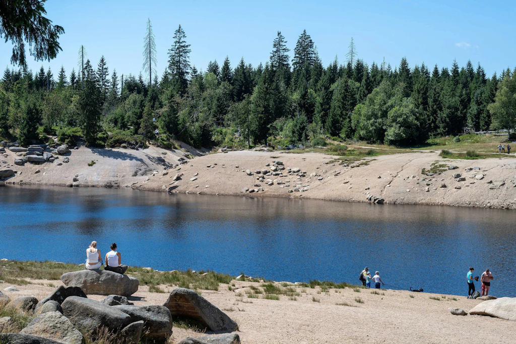 Blick auf den wasserarmen Oderteich im Nationalpark Harz.