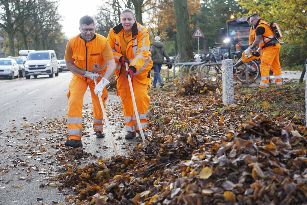 Laubbeseitigung ist an vielen Stellen Sache der jeweiligen Stadtreinigung. Hier sollen nach dem Modell der Bürgerarbeit in Sachsen-Anhalt in Zukunft mehr Grundsicherungsempfänger mit anpacken. (Symbolbild)