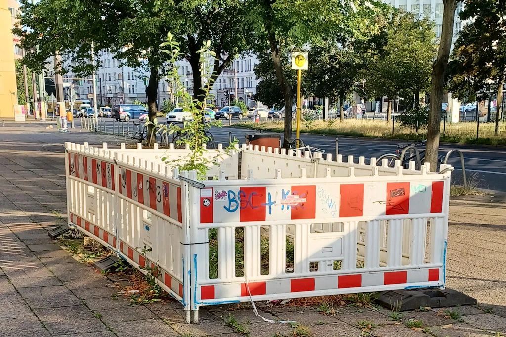 Vergessene Baustelle oder kreatives Kunstwerk? Hinter einer Absperrung wächst in der Mollstraße ein Bäumchen.