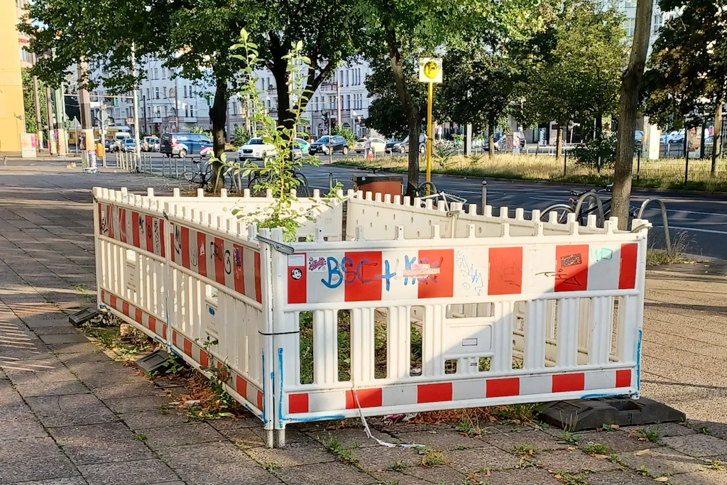 Vergessene Baustelle oder kreatives Kunstwerk? Hinter einer Absperrung wächst in der Mollstraße ein Bäumchen.