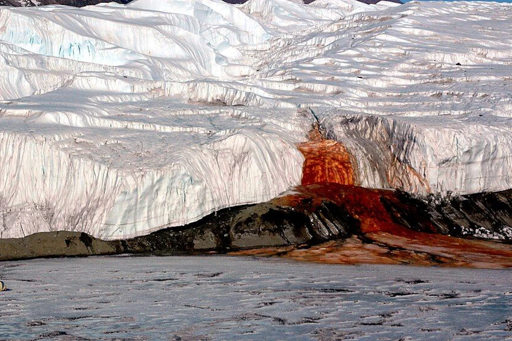 Die Blutfälle in den McMurdo-Trockentälern. Das kleine Zelt am linken Bildrand zeigt, wie groß der rote Ausfluss tatsächlich ist.