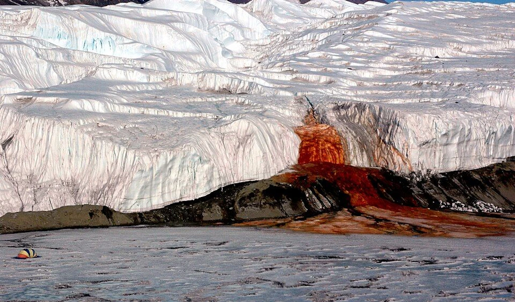 Der Gletscher, der blutet – und was Forscher jetzt darunter gefunden haben