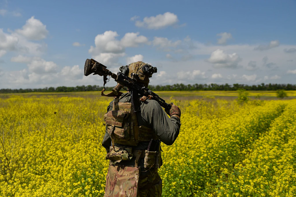 Ein ukrainischer Soldat auf einem Feld in der Oblast Donezk: Wie viele deutsche Kombattanten am Krieg in Osteuropa teilnehmen, ist unklar.
