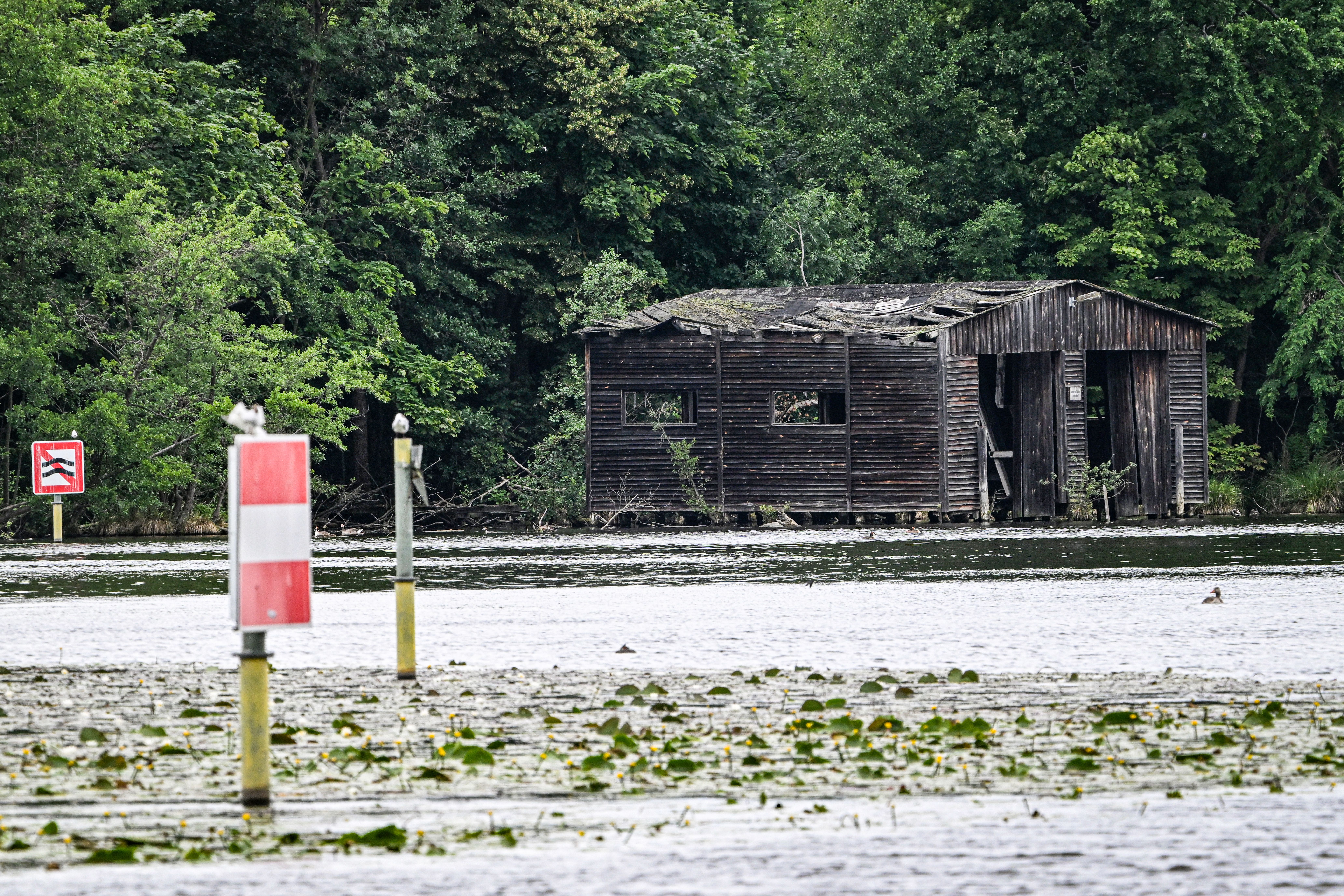 Naturschutz, Altlasten, kein Zugang: Warum sich für diese DDR-Insel in Berlin kein Käufer findet
