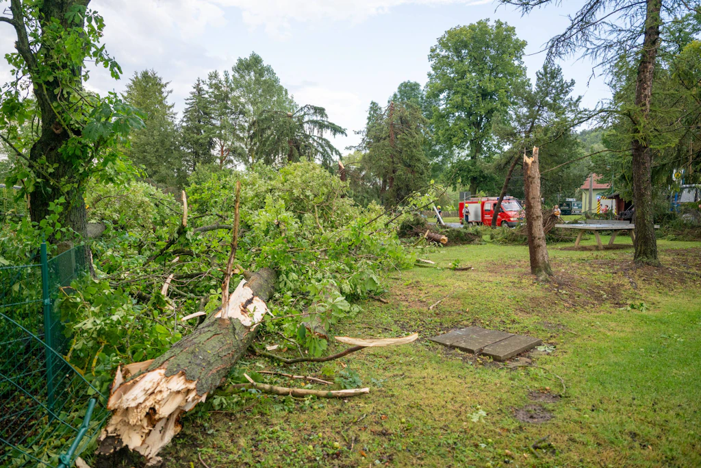 Ein Unwetter verwüstete Teile von Thangelstedt.