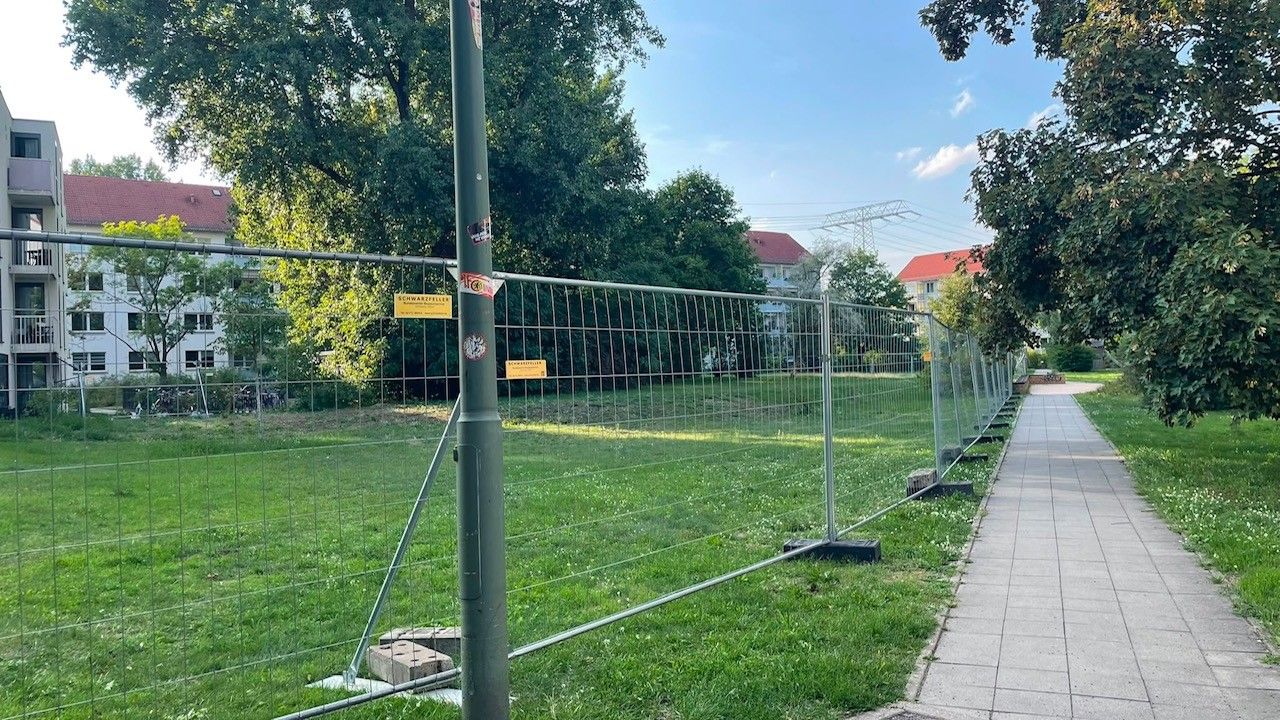 Baummassaker droht! Lichtenberger Ilsekiez: Howoge stellt Zäune auf – trotz Stopp vom Amt