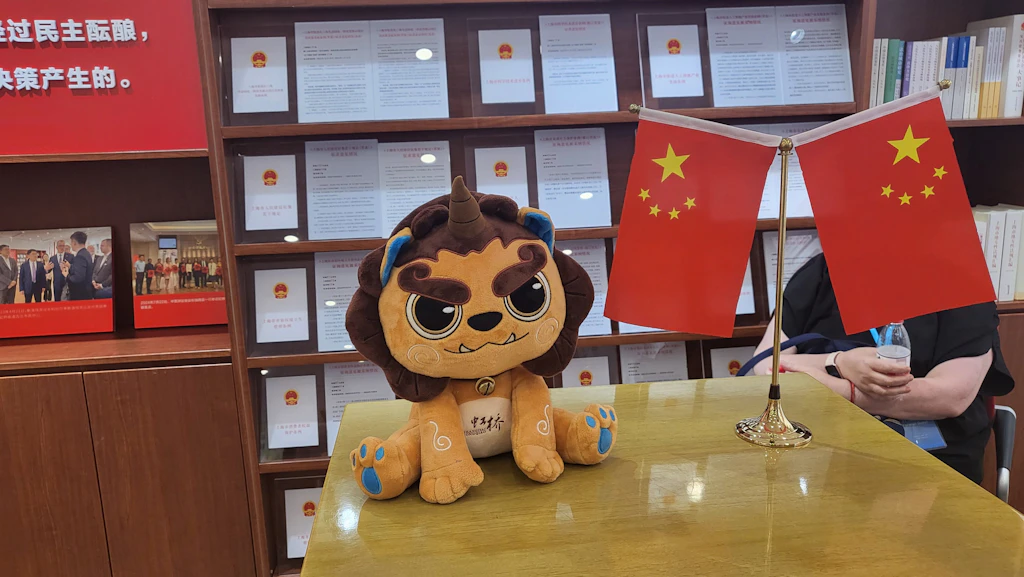 Die größte und erfolgreichste Partei der Welt: Warum die KP Chinas gute Laune hat