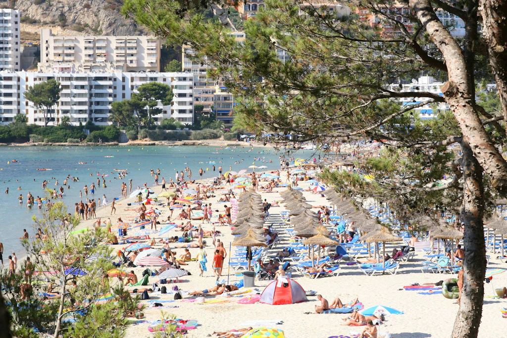 Voller Strand, flaches Wasser: In genau diesen knietiefen Uferzonen im Südwesten Mallorcas kam es am Wochenende zu den Bissen.