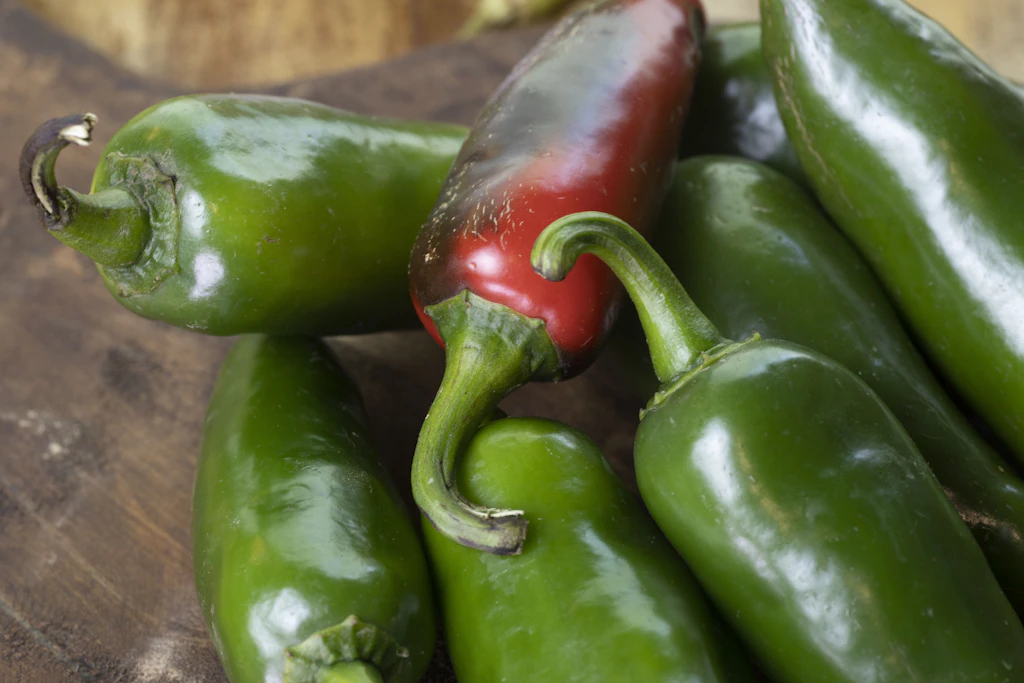 Jalapeños gelten als wahrscheinliche Quelle eines Salmonellenausbruchs in den USA.