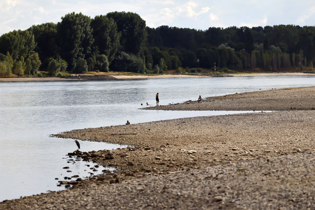 Der Rheinpegel ist in Köln und Bonn derzeit auf einem Rekordtief.