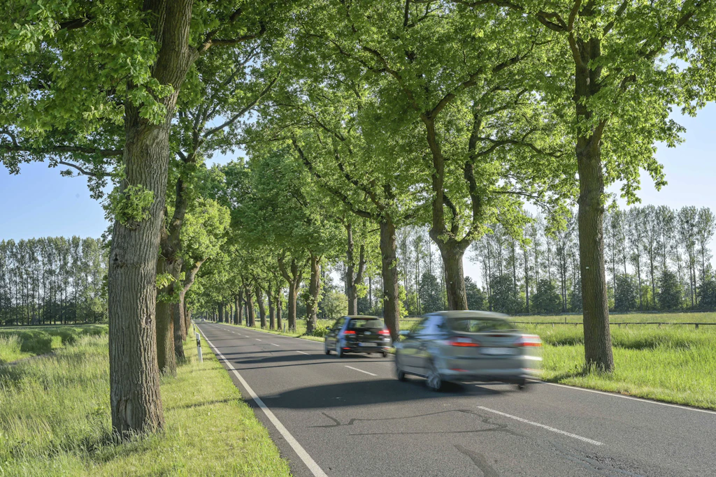 Autos auf einer Straße im Landkreis Oberhavel in Brandenburg