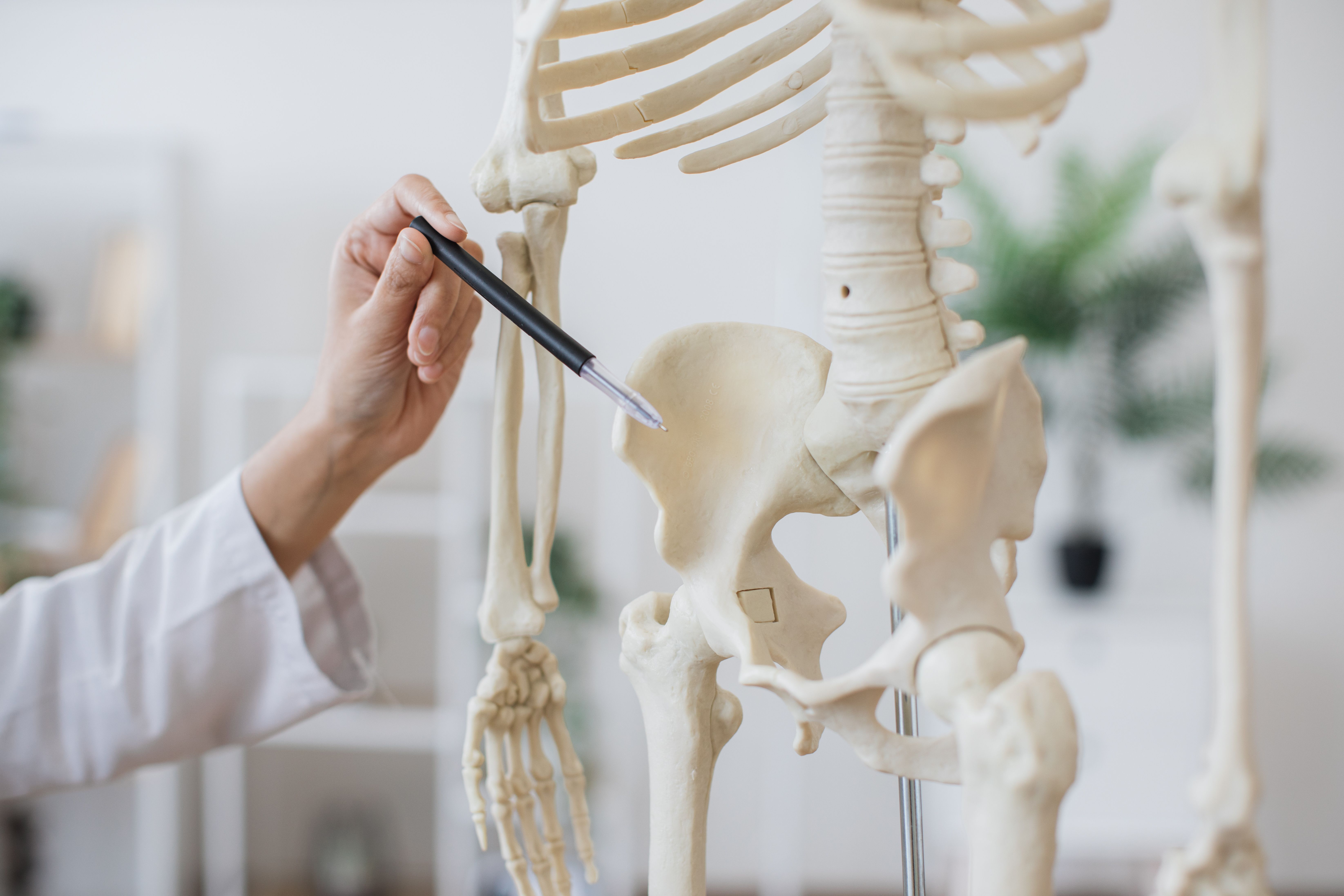 Studie: Frauen haben das Becken der Neandertaler – Männer nicht