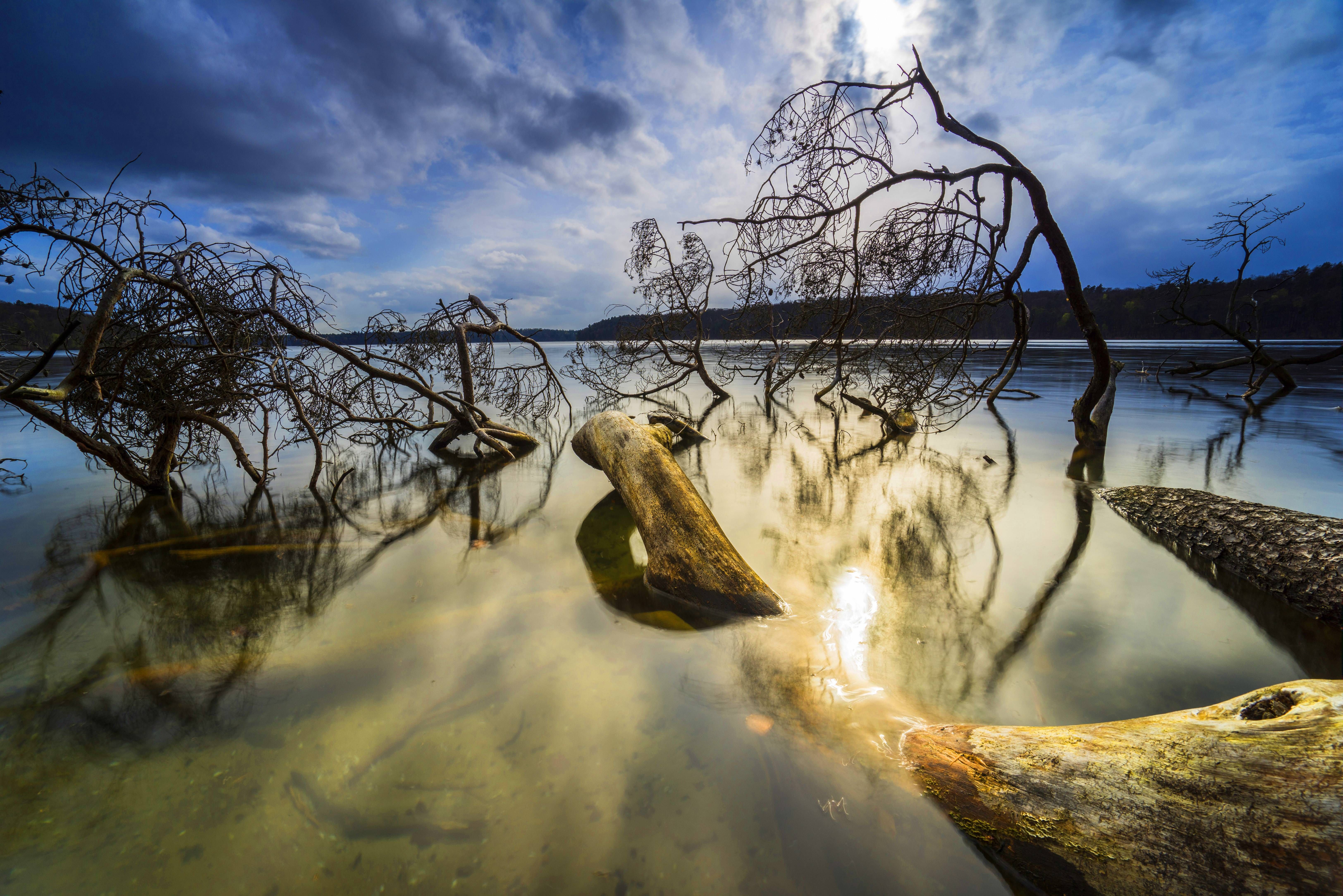 Stechlinsee: Baden, Tauchen und Wandern am klarsten See Brandenburgs