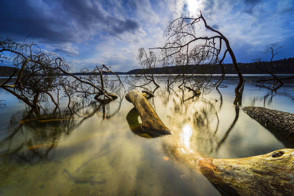Stechlinsee: Baden, Tauchen und Wandern am klarsten See Brandenburgs