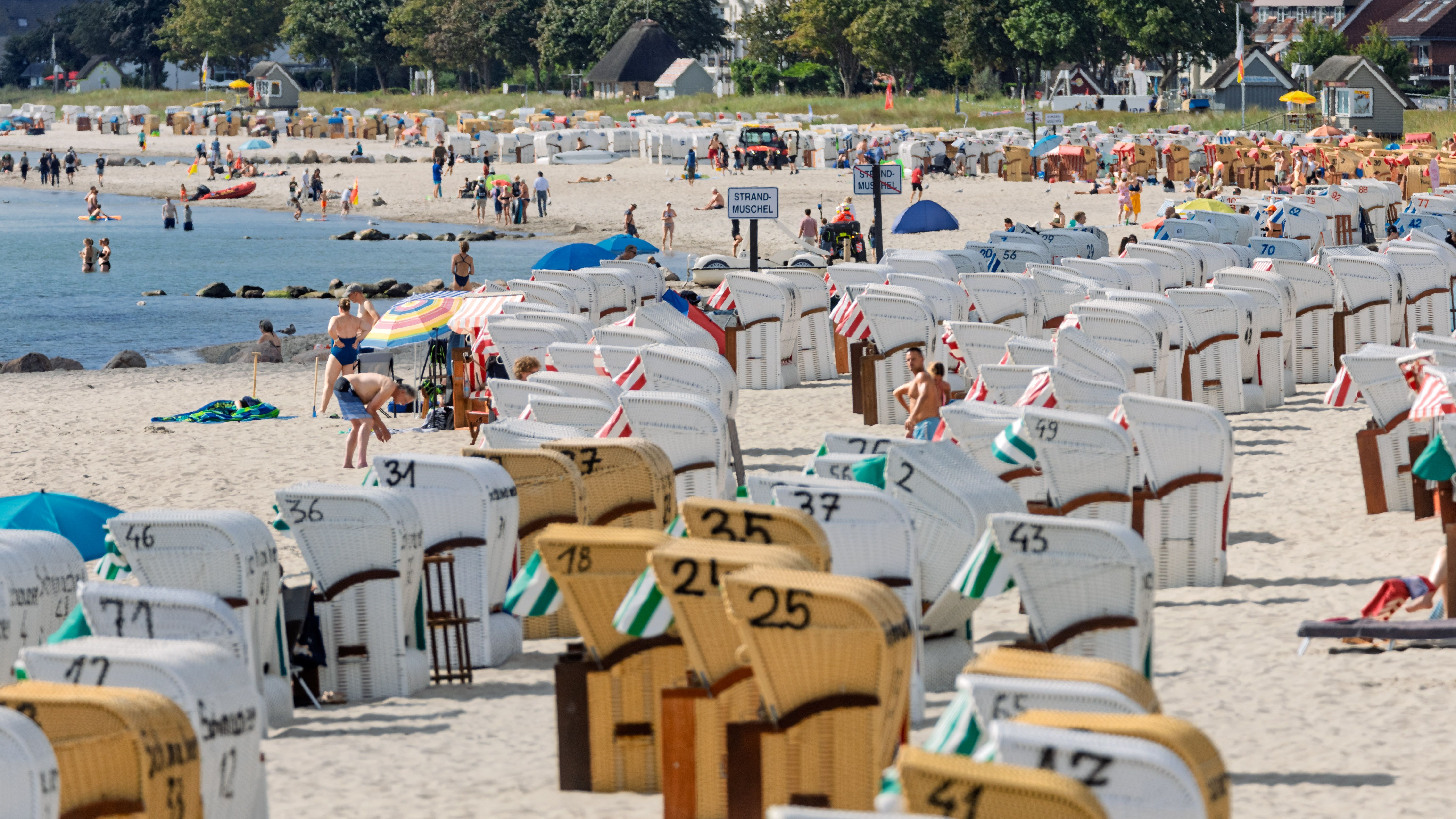 Nicht nur die Ostsee: Blaualgen erreichen Seen und Flüsse