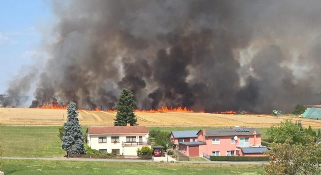 Feldbrand in Ostthüringen bedroht Stall und Wald: Zwei Feuerwehrleute verletzt