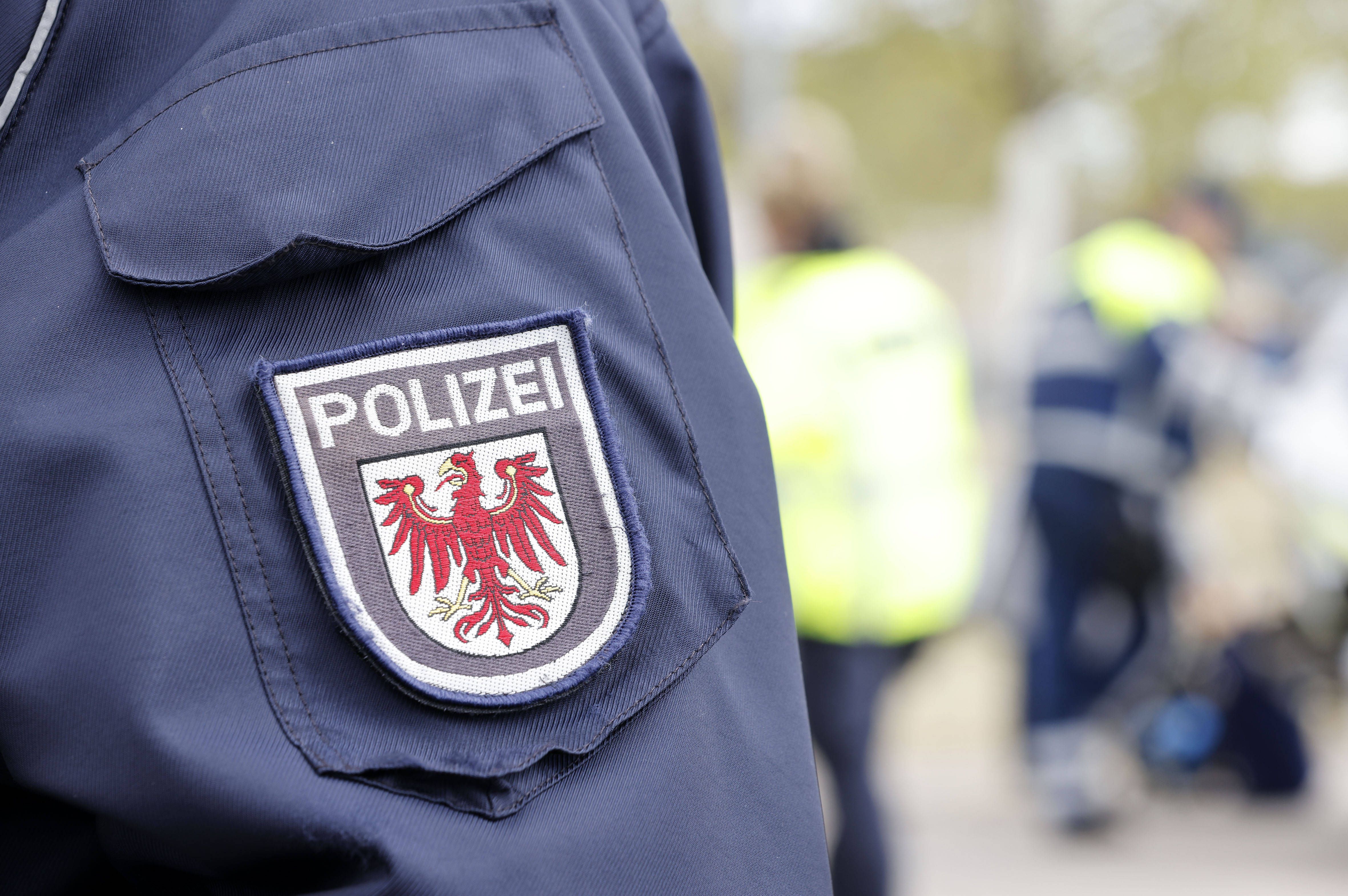 Bei Eberswalde: Spaziergänger entdeckt Frauenleiche in Waldstück