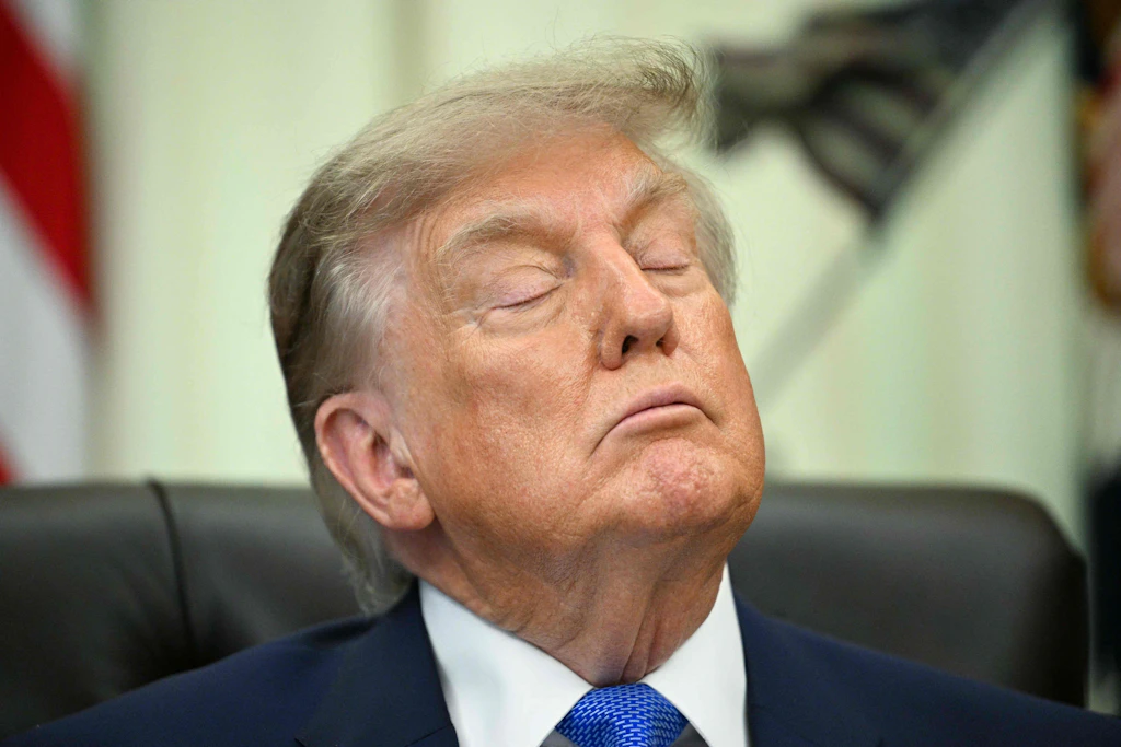 „Peinlich“: Ottawa prüft neuen Straßennamen für „Trump Avenue“ – diese Vorschläge stehen im Raum