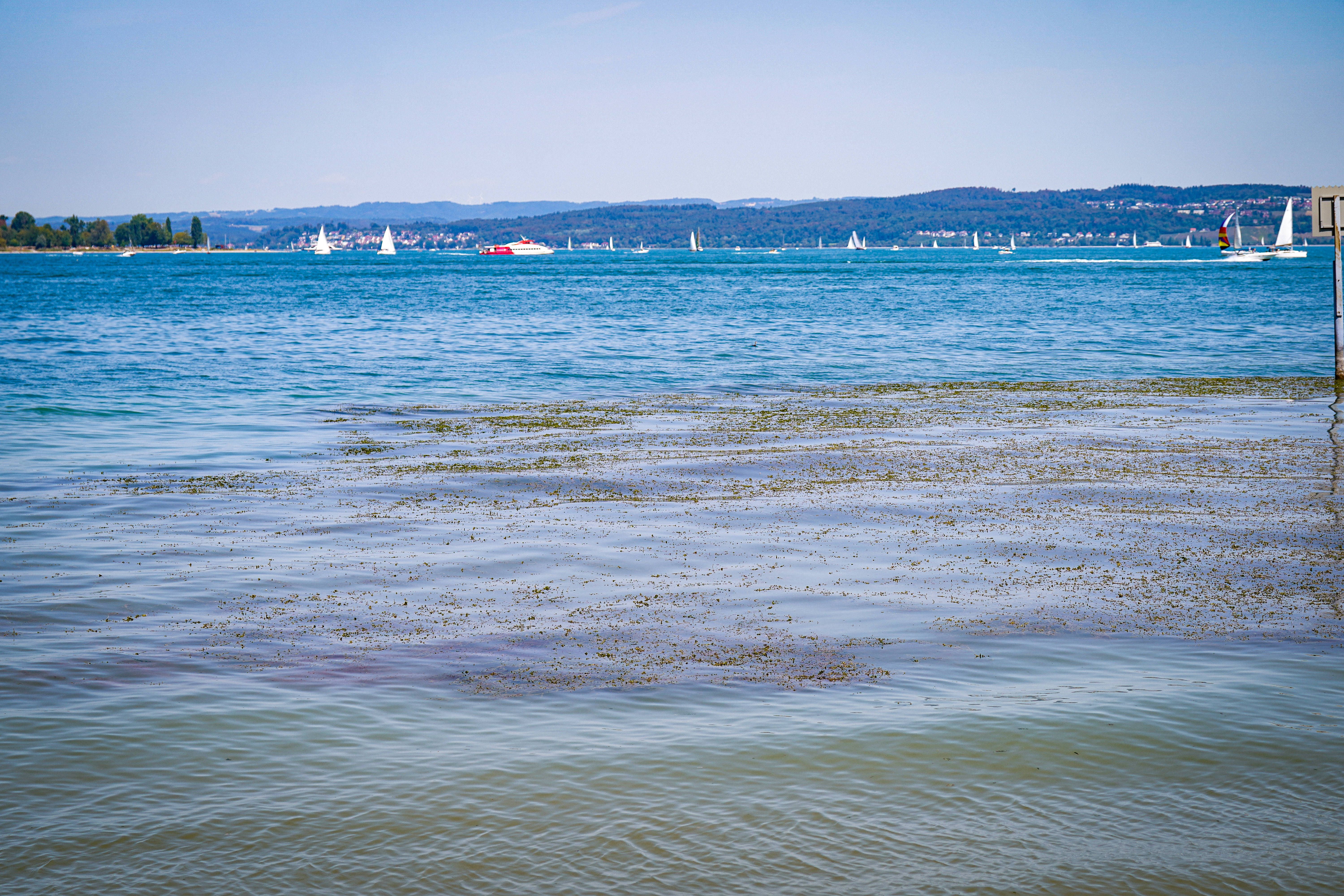 103 Vermisste liegen im Bodensee: So nah kann man ihnen beim Baden wirklich kommen