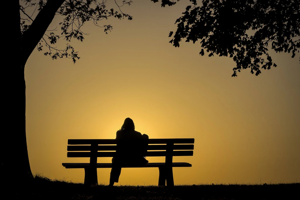Abendsonne über einer Parkbank: Für die Sonnenfinsternis am 12. August braucht es keinen dunklen Ort, sondern einen flachen Horizont. (Symbolbild)