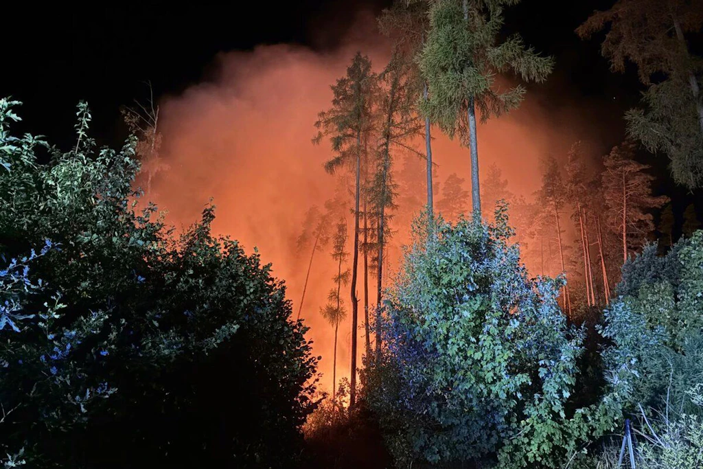 Waldbrand nahe Plauen: Seit den Abendstunden kämpfen die Feuerwehren um die Kontrolle über das Feuer am Stadtrand von Plauen.﻿